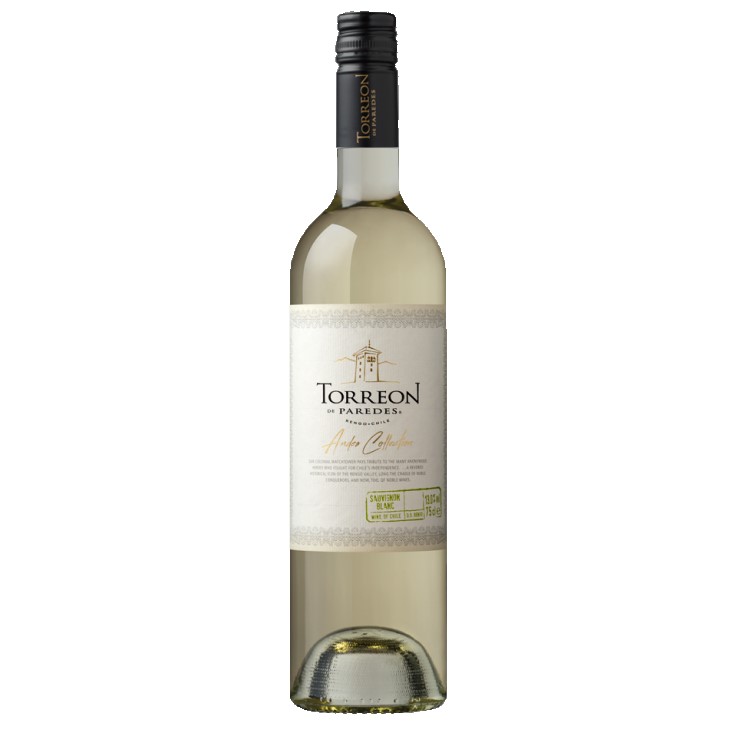 トレオン・デ・パレデス アンデス・コレクション・ソーヴィニヨン・ブラン-Andes Collection Sauvignon Blanc