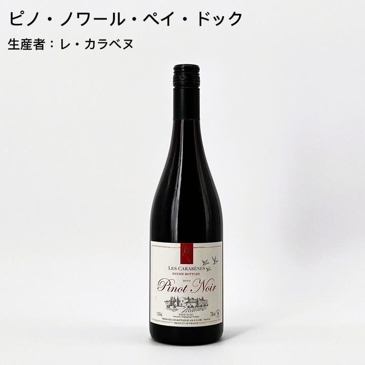 店長おすすめワインセットvol.1 　厳選！最高の日常家飲みワイン編5本セット-Caves de la Madeleine Sommelier's Recommendation vol.1